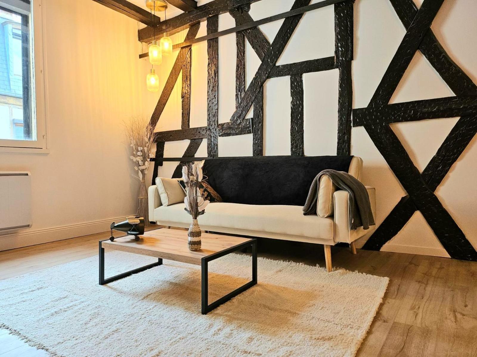 La Dame Blanche - Appartement Hypercentre Historique بورج المظهر الخارجي الصورة